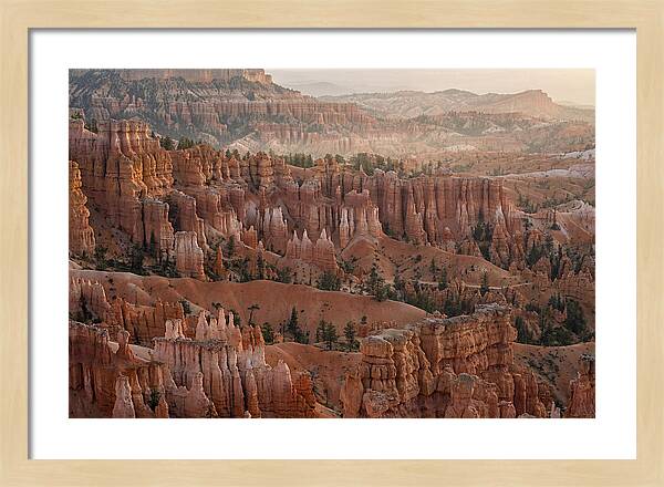 Bryce Canyon Sunrise Over Hoodoos