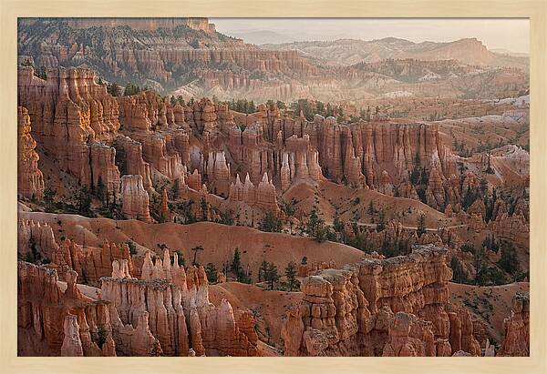 Bryce Canyon Sunrise Over Hoodoos