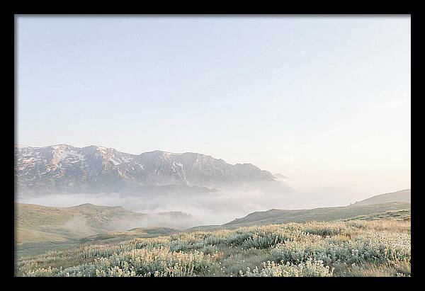 Bucegi Mountains Tranquil Beauty