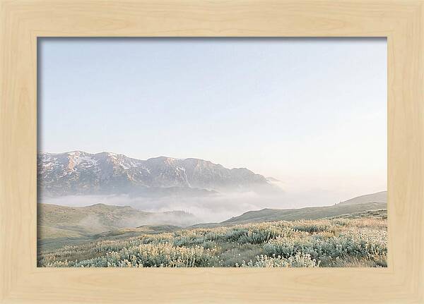 Bucegi Mountains Tranquil Beauty