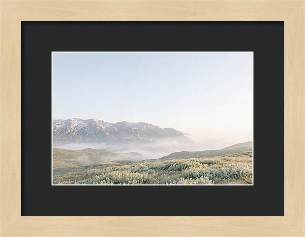 Bucegi Mountains Tranquil Beauty