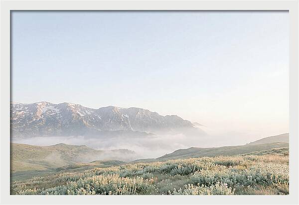 Bucegi Mountains Tranquil Beauty