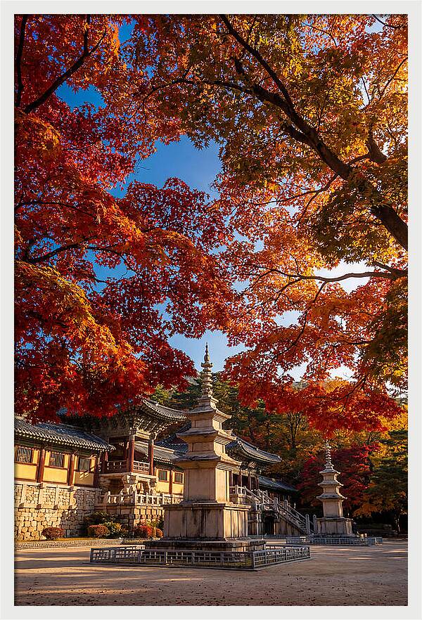 Bulguksa Temple In Autumn Glory