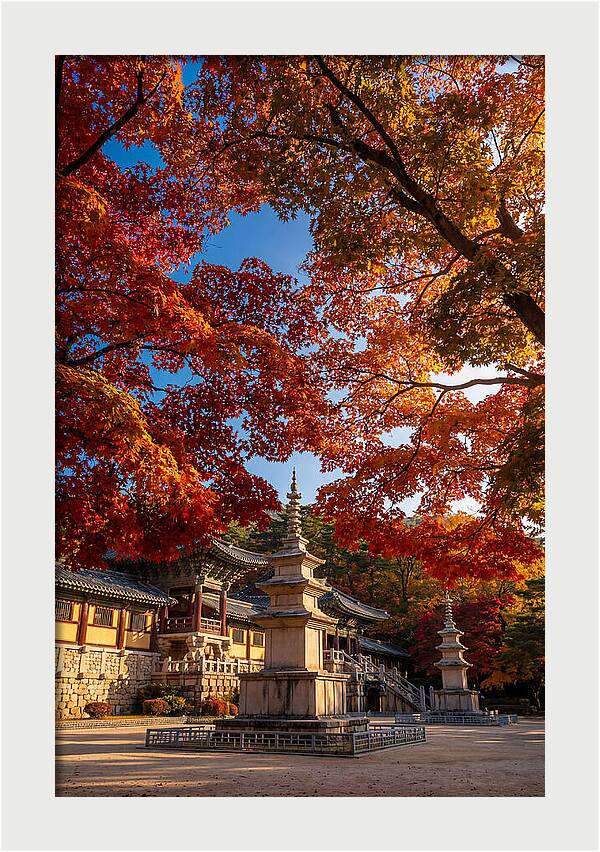 Bulguksa Temple In Autumn Glory