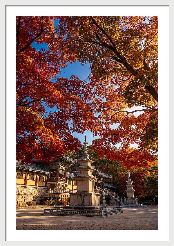 Bulguksa Temple In Autumn Glory