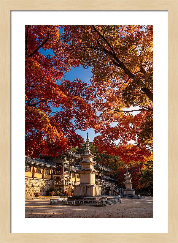 Bulguksa Temple In Autumn Glory