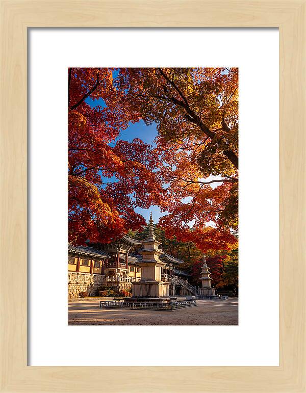 Bulguksa Temple In Autumn Glory