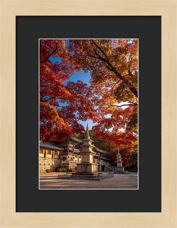Bulguksa Temple In Autumn Glory