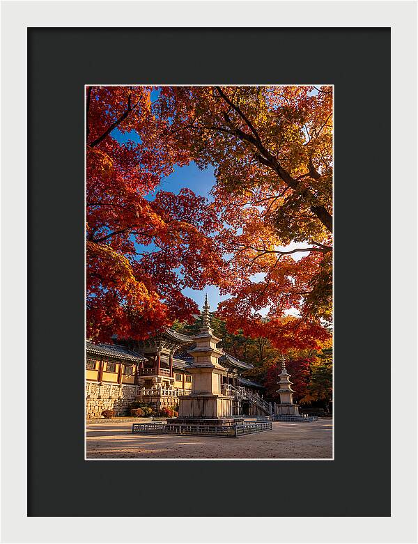 Bulguksa Temple In Autumn Glory