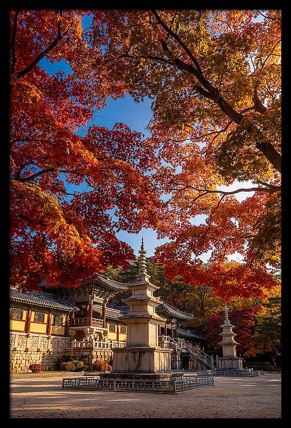 Bulguksa Temple In Autumn Glory