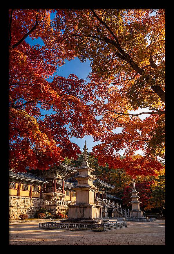 Bulguksa Temple In Autumn Glory