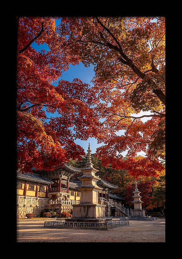 Bulguksa Temple In Autumn Glory