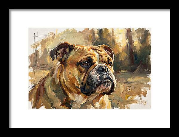 Bulldog In Natural Light