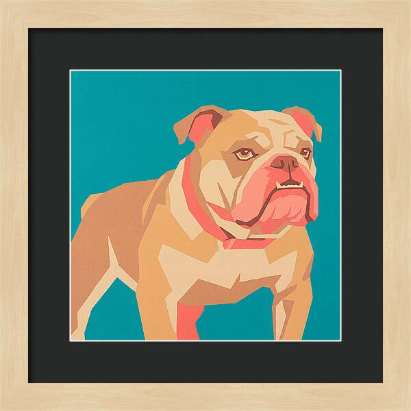 Bulldog Pop Art