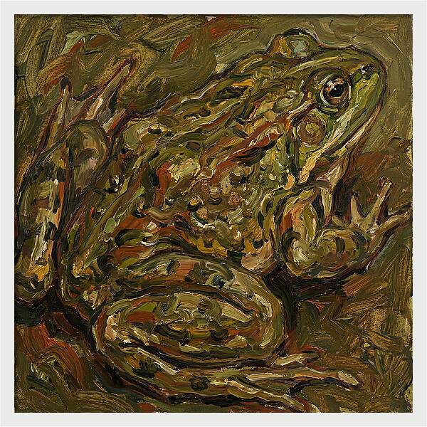 Bullfrog In Expressionist Style