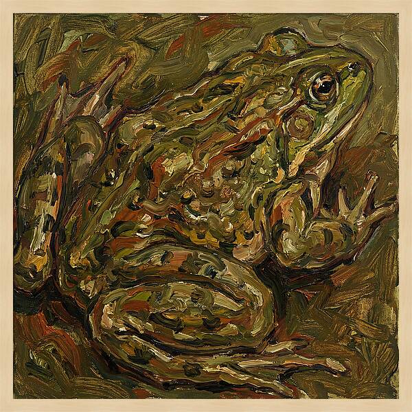 Bullfrog In Expressionist Style