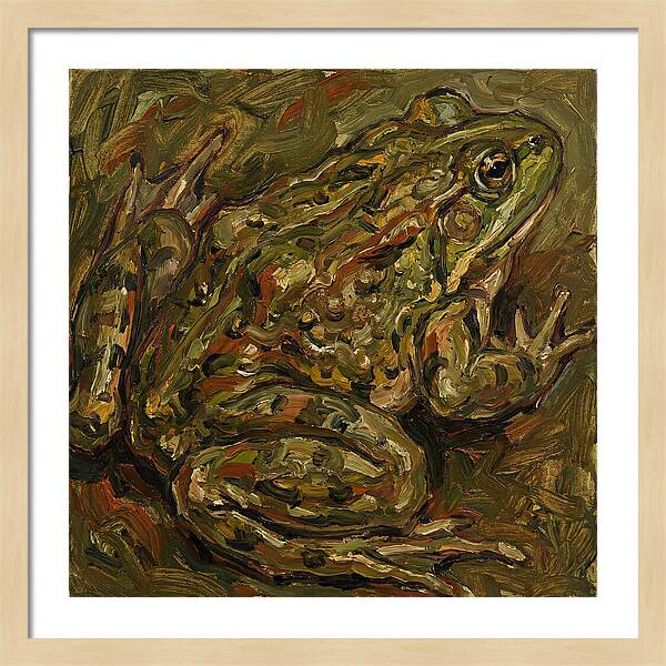 Bullfrog In Expressionist Style