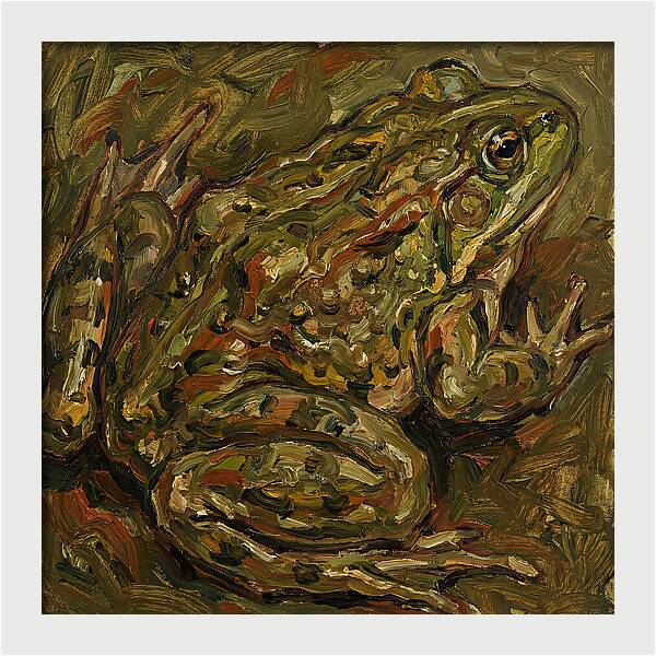 Bullfrog In Expressionist Style