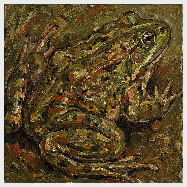 Bullfrog In Expressionist Style
