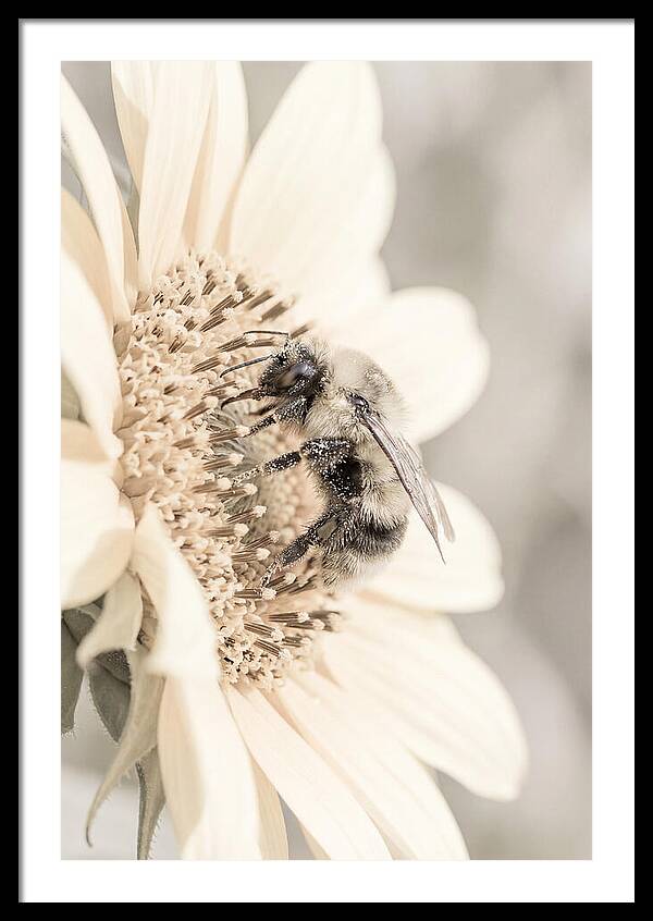 Bee Art