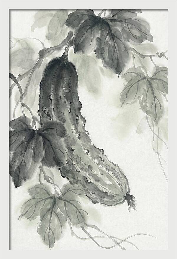 Bumpy Green Cucumber