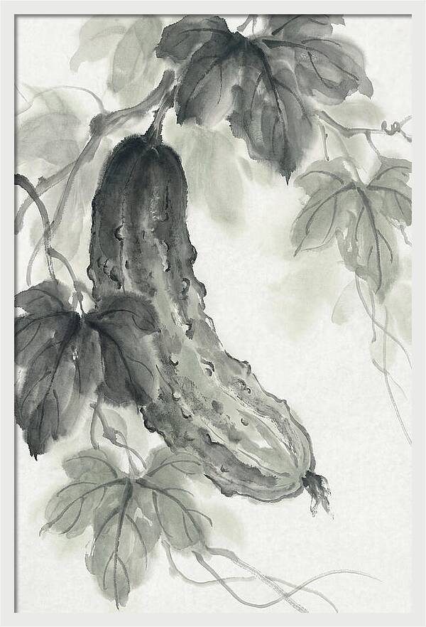 Bumpy Green Cucumber