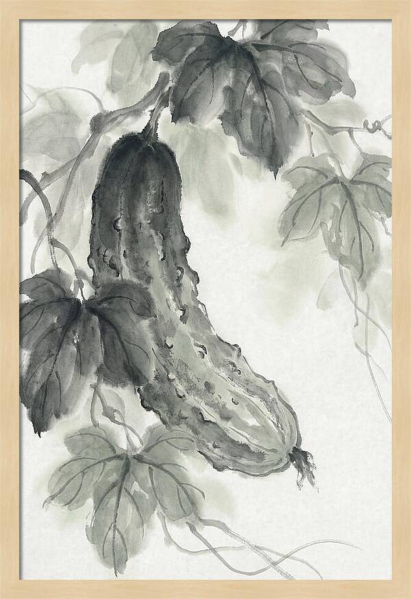 Bumpy Green Cucumber