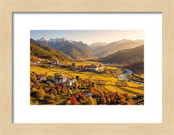 Bumthang Valley In Autumn