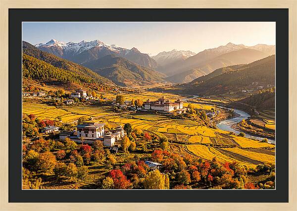 Bumthang Valley In Autumn
