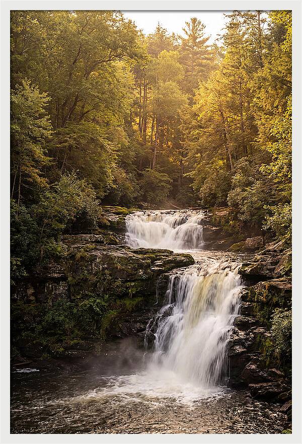 Burgess Falls Serenity