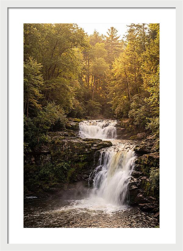 Burgess Falls Serenity