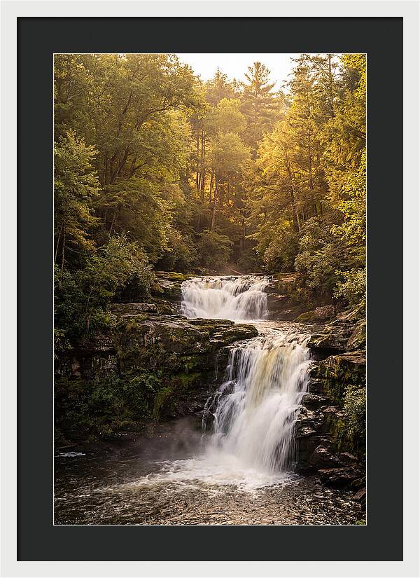 Burgess Falls Serenity