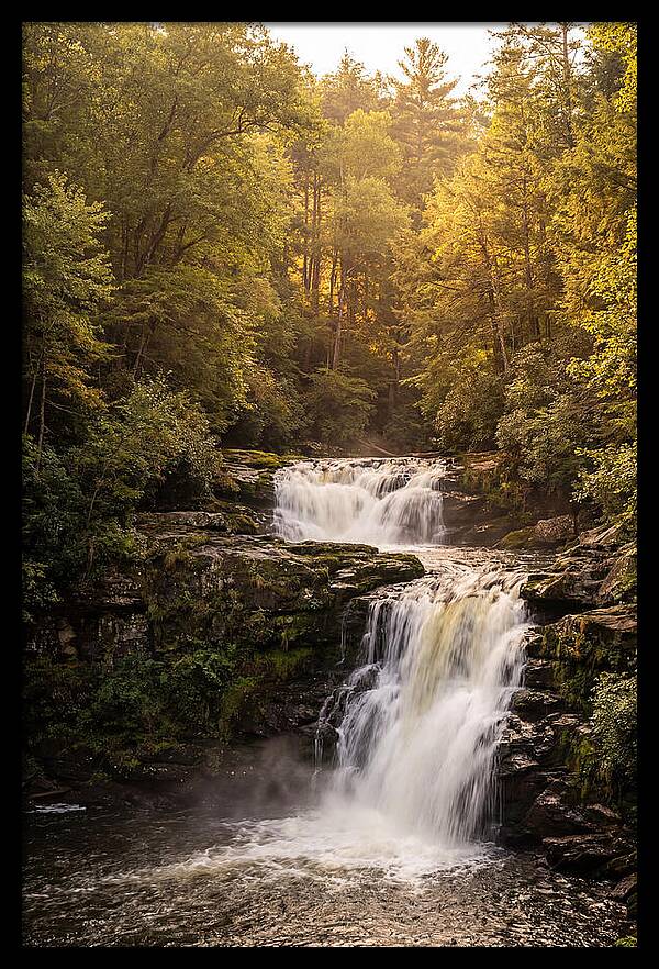 Burgess Falls Serenity