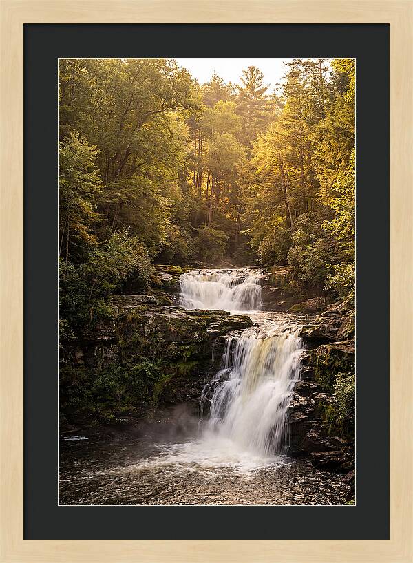 Burgess Falls Serenity