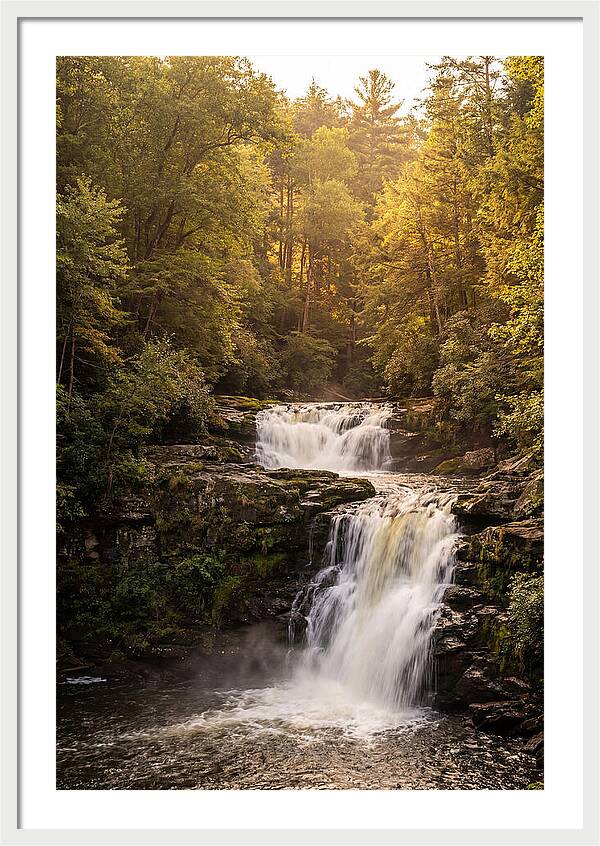 Burgess Falls Serenity