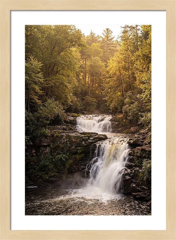 Burgess Falls Serenity