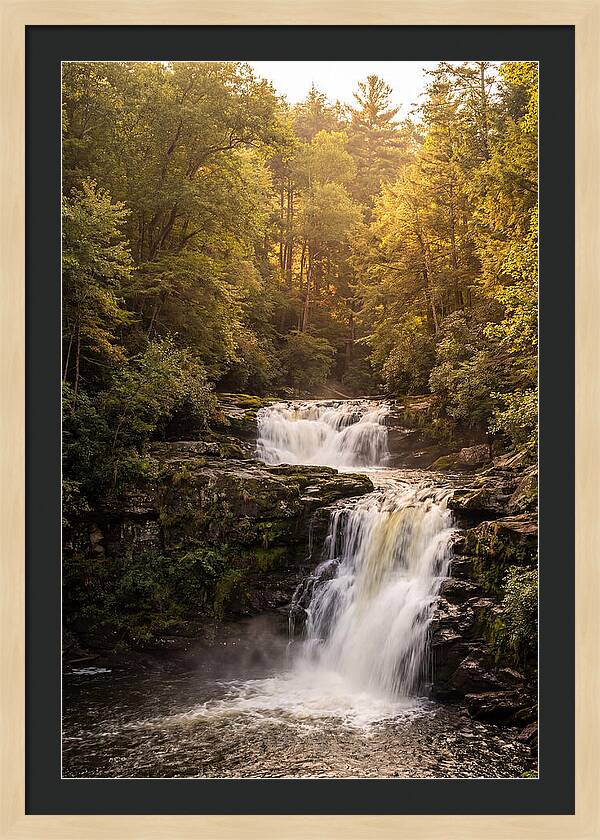 Burgess Falls Serenity