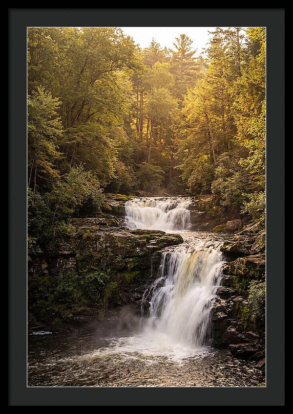 Burgess Falls Serenity