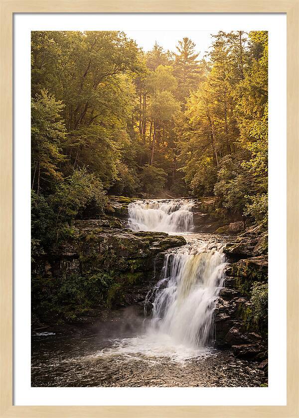 Burgess Falls Serenity