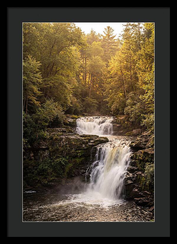 Burgess Falls Serenity