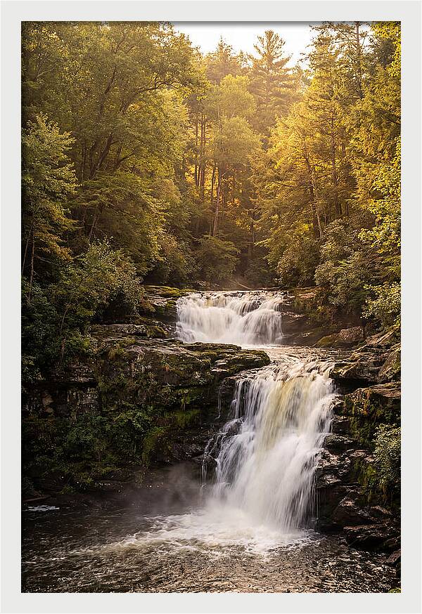 Burgess Falls Serenity