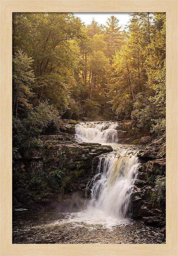 Burgess Falls Serenity