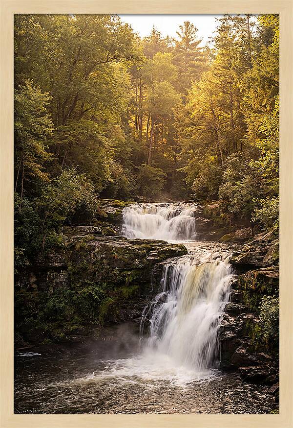 Burgess Falls Serenity