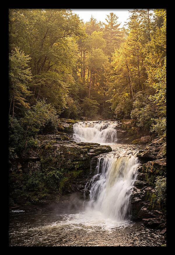 Burgess Falls Serenity