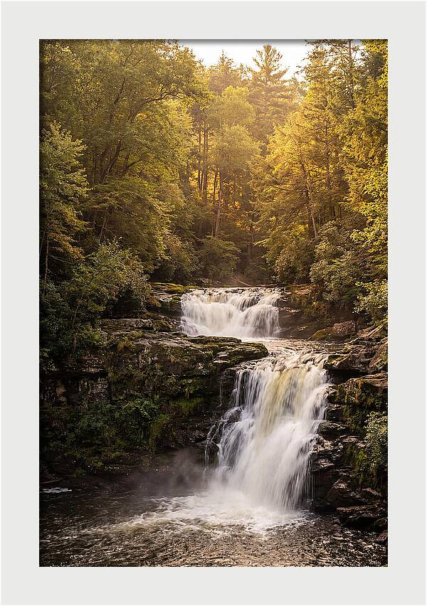 Burgess Falls Serenity
