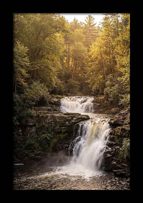 Burgess Falls Serenity