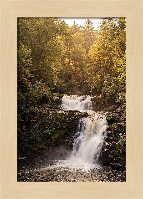 Burgess Falls Serenity