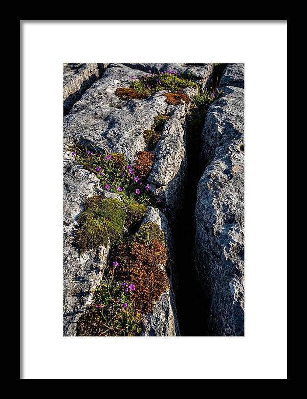Burren Limestone Beauty