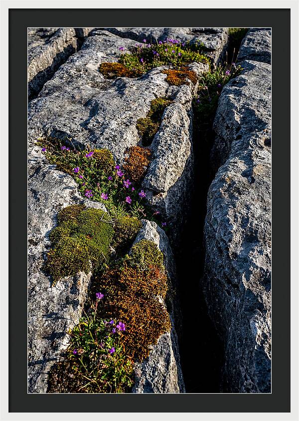 Burren Limestone Beauty