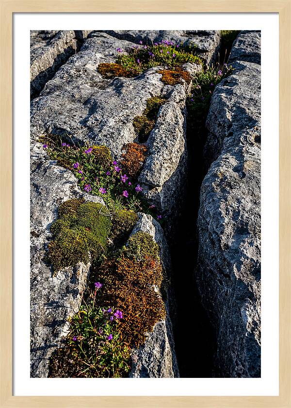 Burren Limestone Beauty